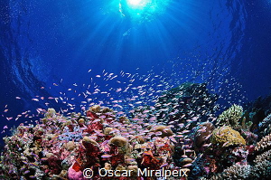 .... Maldives by Oscar Miralpeix 